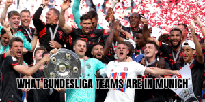 What Bundesliga Teams Are In Munich