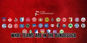 What Teams Are in the Bundesliga